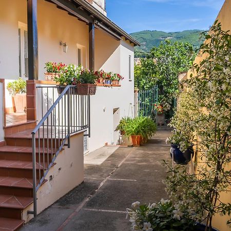 Casa Assunta B&B Vico Equense Eksteriør bilde