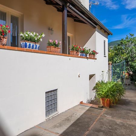 Casa Assunta B&B Vico Equense Eksteriør bilde