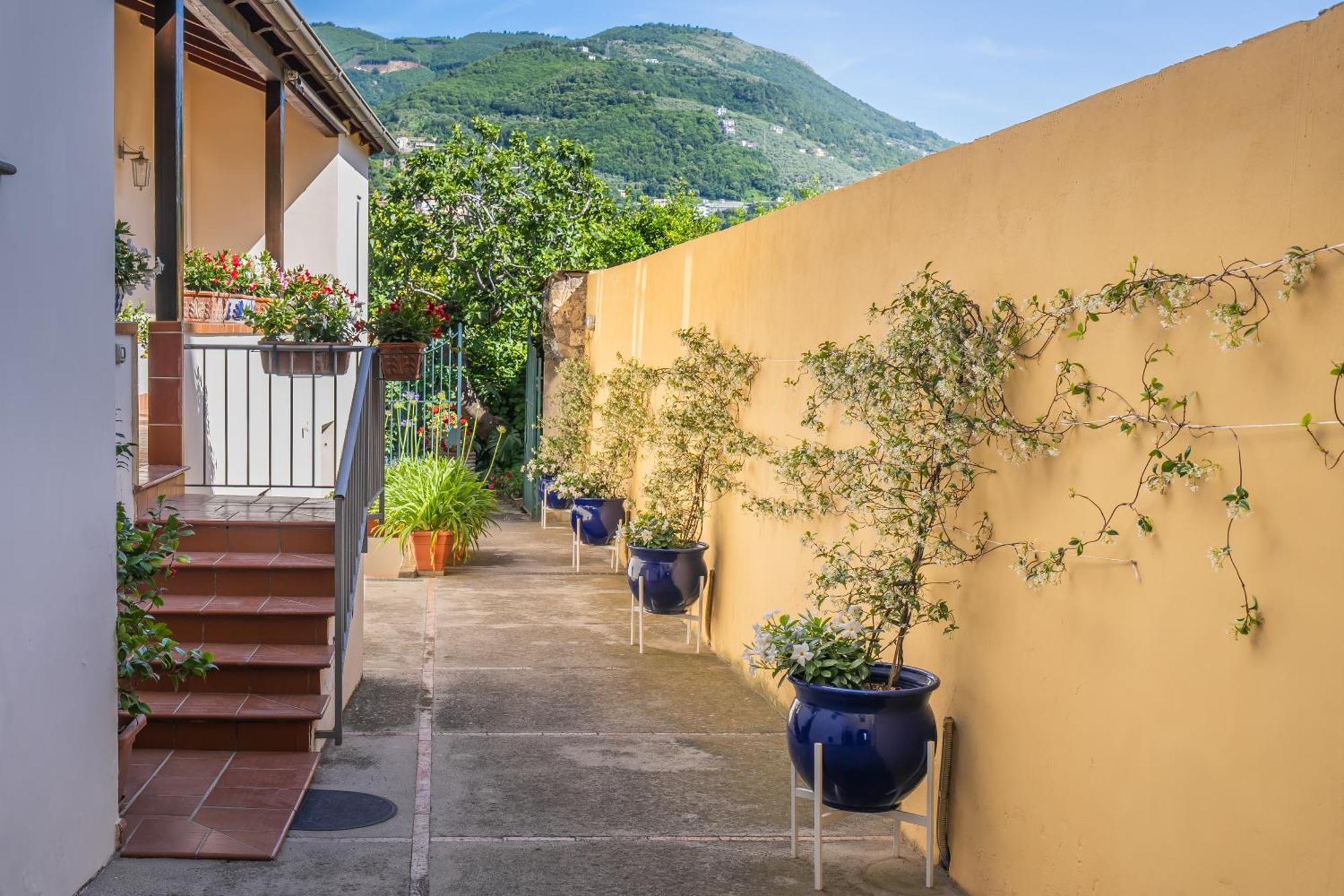 Casa Assunta B&B Vico Equense Eksteriør bilde